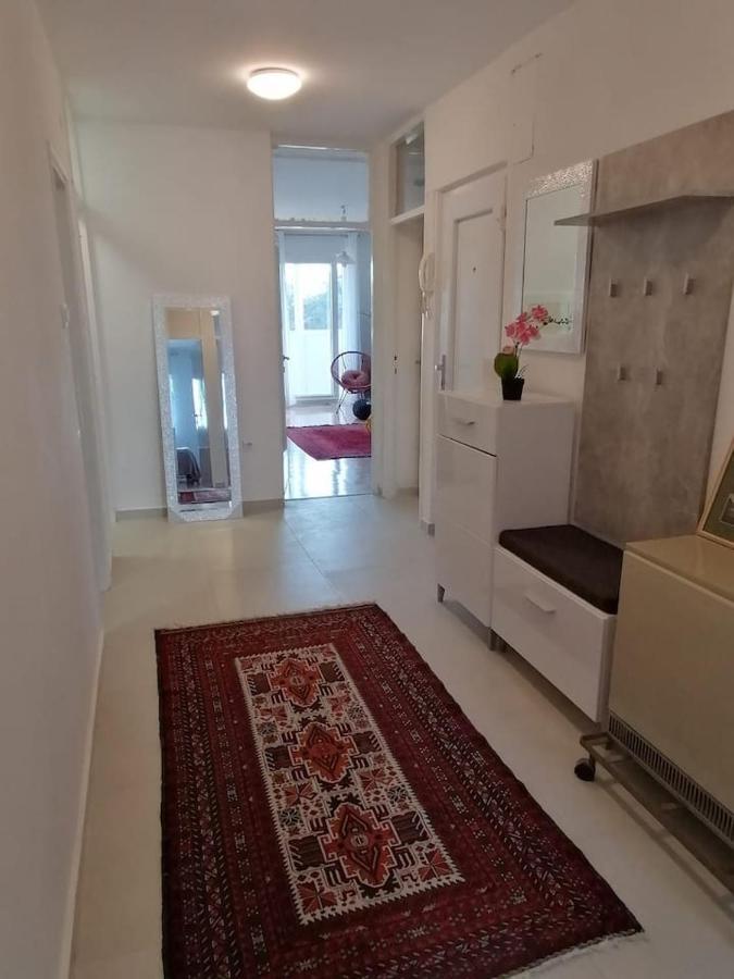 Sunny Spot Apartment
